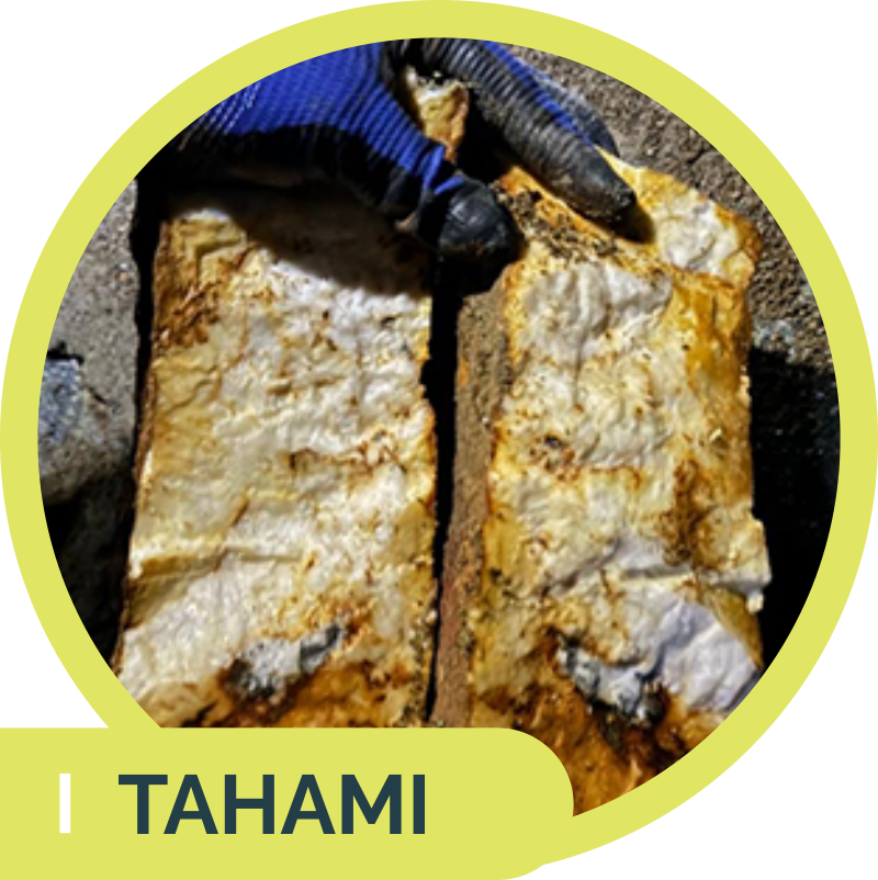 tahami-feature