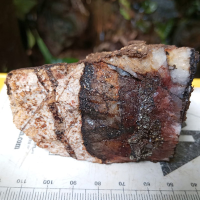 Multiple mineralized structures confirmed